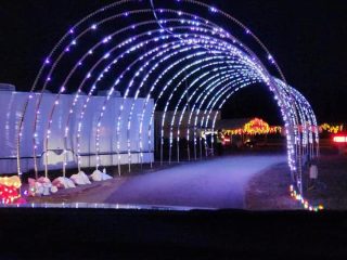 2023 DISPLAYS